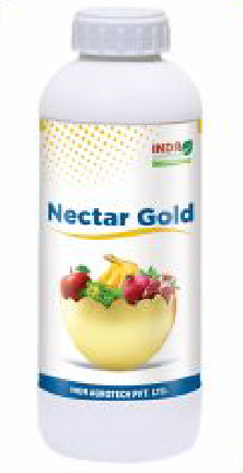 NECTAR GOLD (Si Base Gel) 